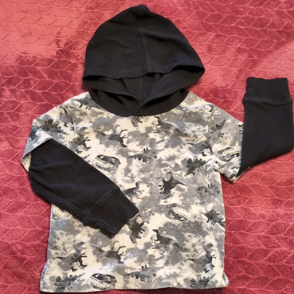 The Children's Place Dinosaur Layered Shirt